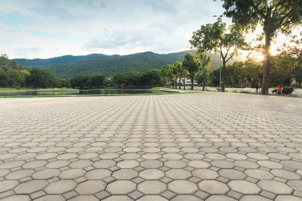 Best Custom Driveway Pavers  in Earlysville, VA